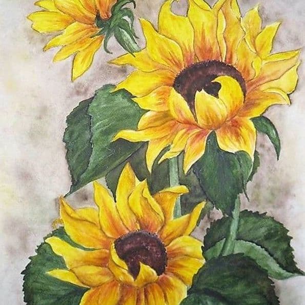 Sunflower Watercolod Painting 595 × 595