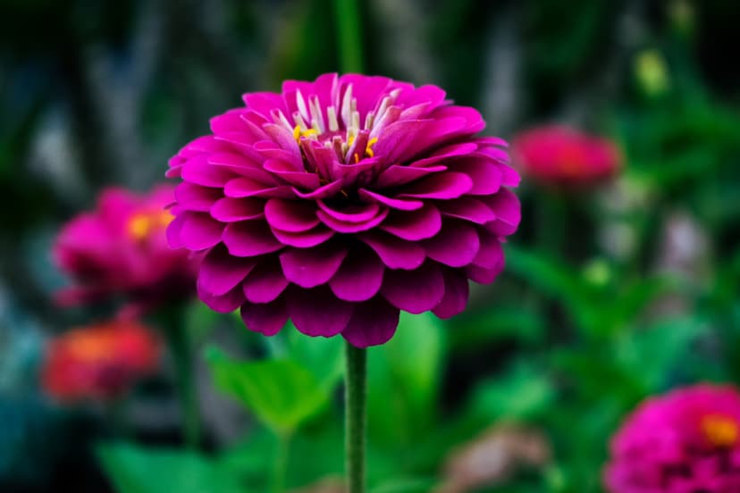 blogImage