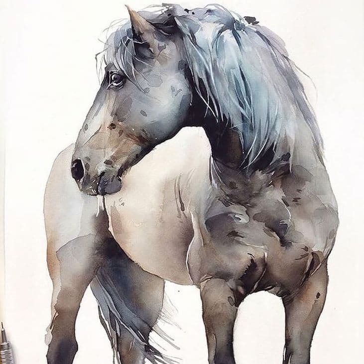 Watercolor Horse Painting 731 × 731