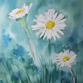 Watercolor Daisies 351 × 351