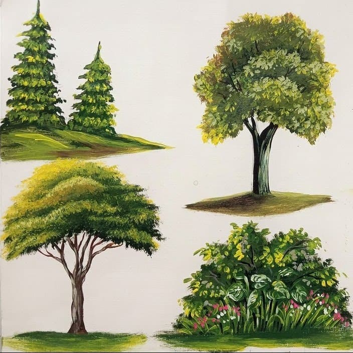 Different Types of Trees Paintings 704 × 704