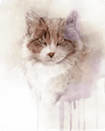 acrylic cat portraits from photos
